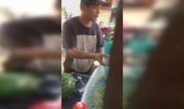 吃瓜大马网红yifei,吃瓜大马，揭秘娱乐圈幕后风云